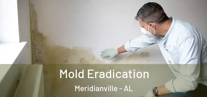  Mold Eradication Meridianville - AL