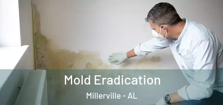  Mold Eradication Millerville - AL