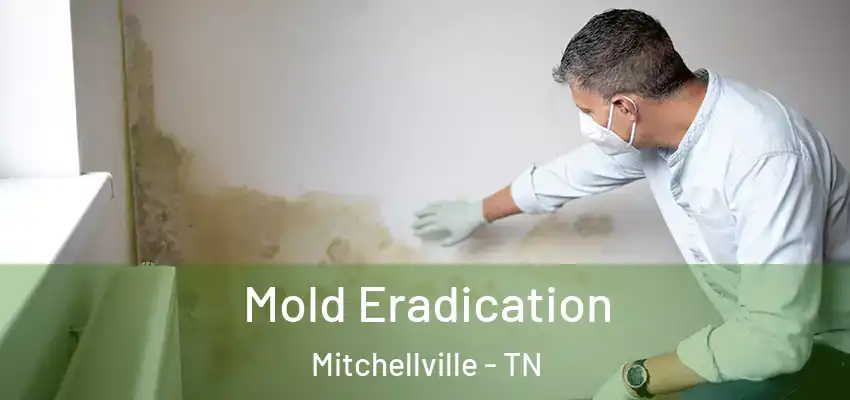  Mold Eradication Mitchellville - TN