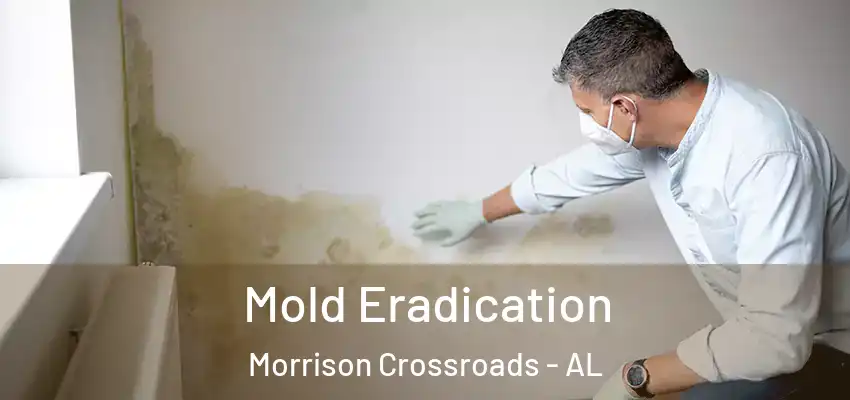 Mold Eradication Morrison Crossroads - AL