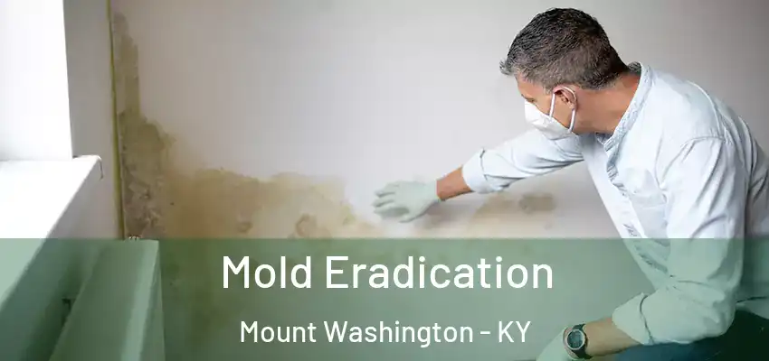 Mold Eradication Mount Washington - KY