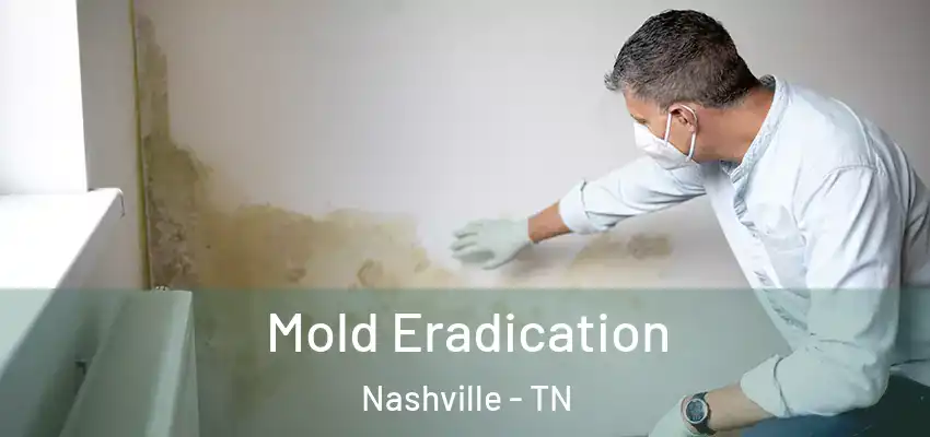 Mold Eradication Nashville - TN