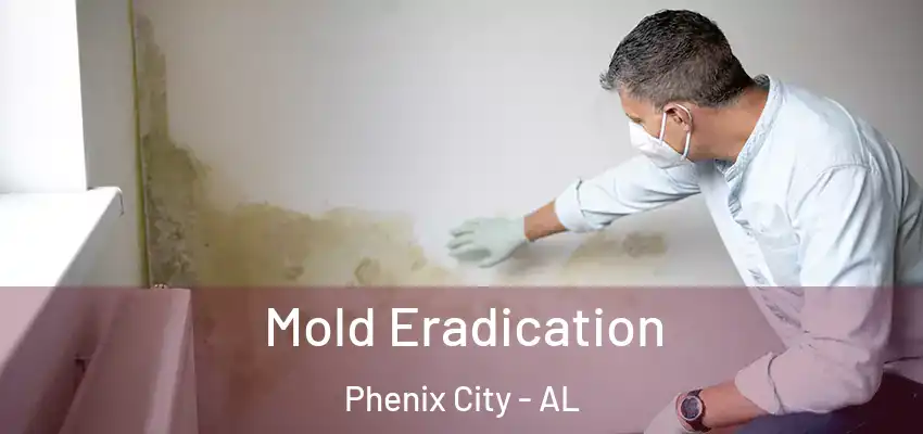 Mold Eradication Phenix City - AL