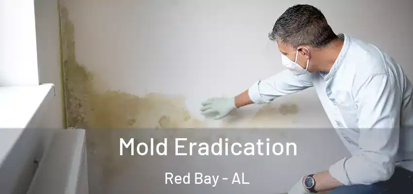 Mold Eradication Red Bay - AL