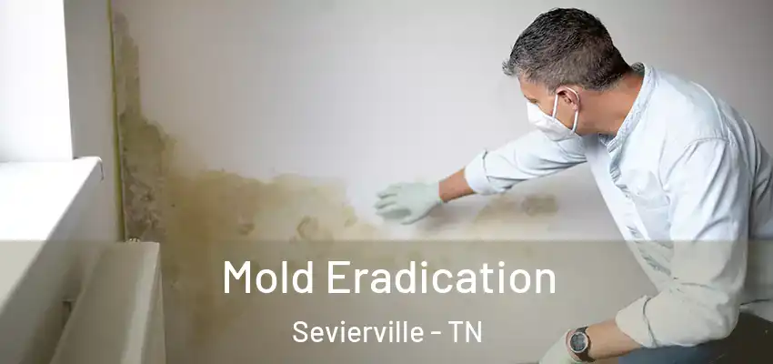 Mold Eradication Sevierville - TN