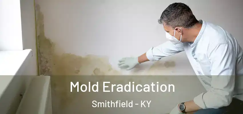  Mold Eradication Smithfield - KY