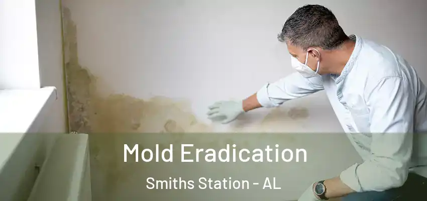 Mold Eradication Smiths Station - AL