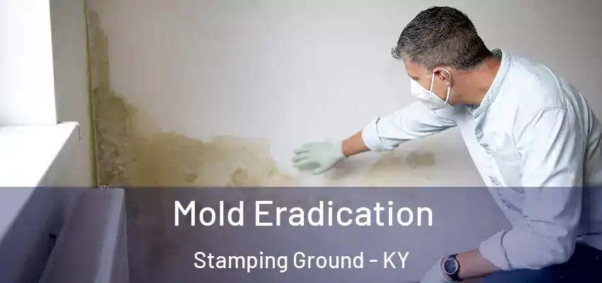  Mold Eradication Stamping Ground - KY