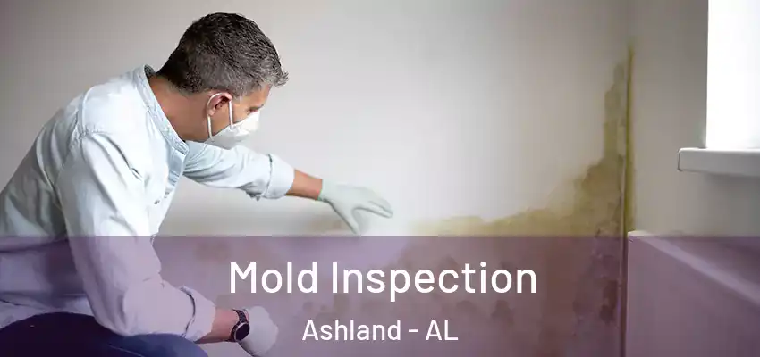 Mold Inspection Ashland - AL