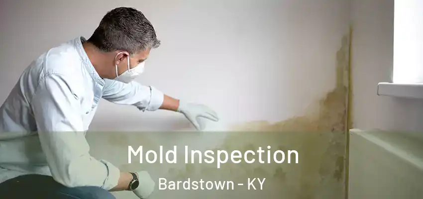  Mold Inspection Bardstown - KY