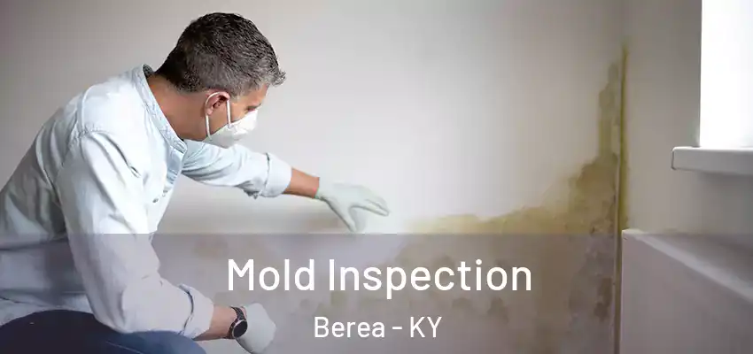  Mold Inspection Berea - KY