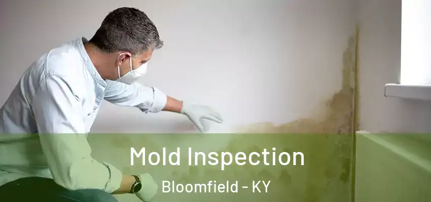  Mold Inspection Bloomfield - KY
