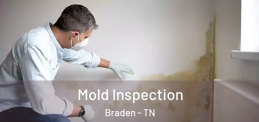  Mold Inspection Braden - TN
