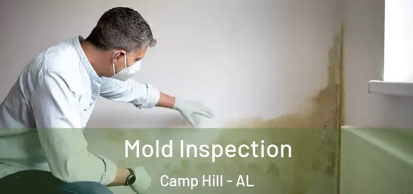  Mold Inspection Camp Hill - AL