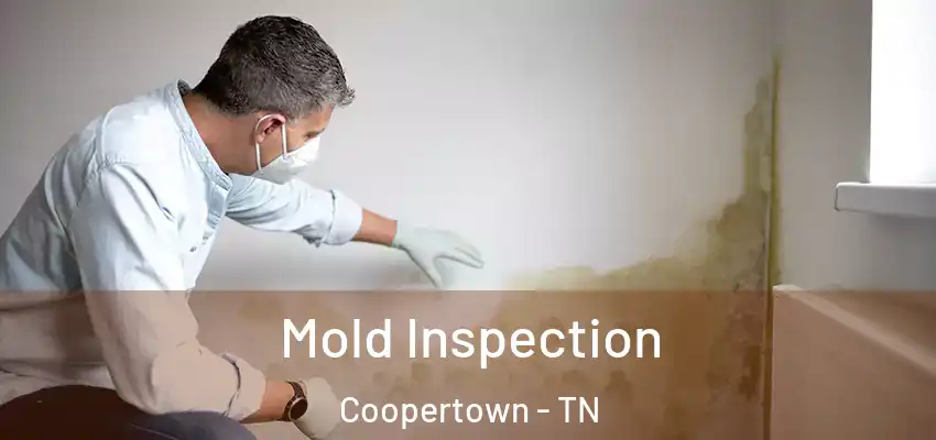  Mold Inspection Coopertown - TN