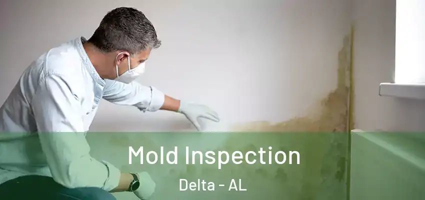 Mold Inspection Delta - AL