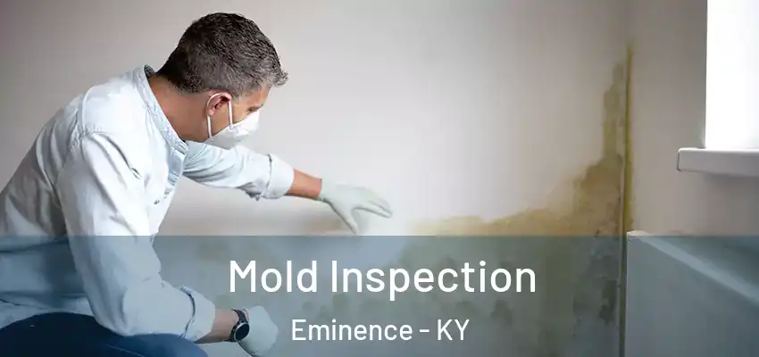  Mold Inspection Eminence - KY