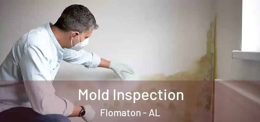  Mold Inspection Flomaton - AL