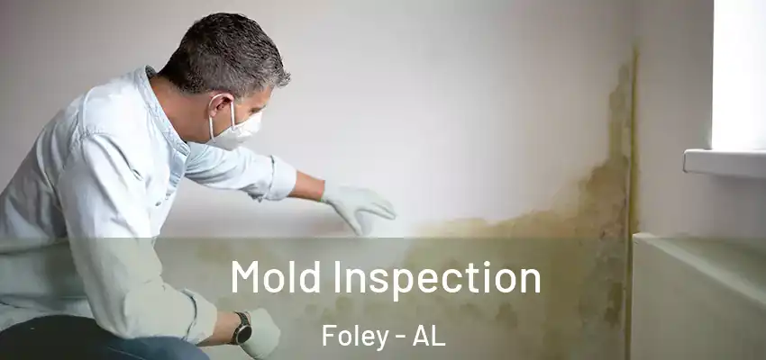  Mold Inspection Foley - AL