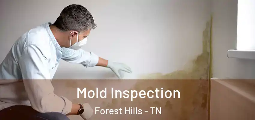 Mold Inspection Forest Hills - TN
