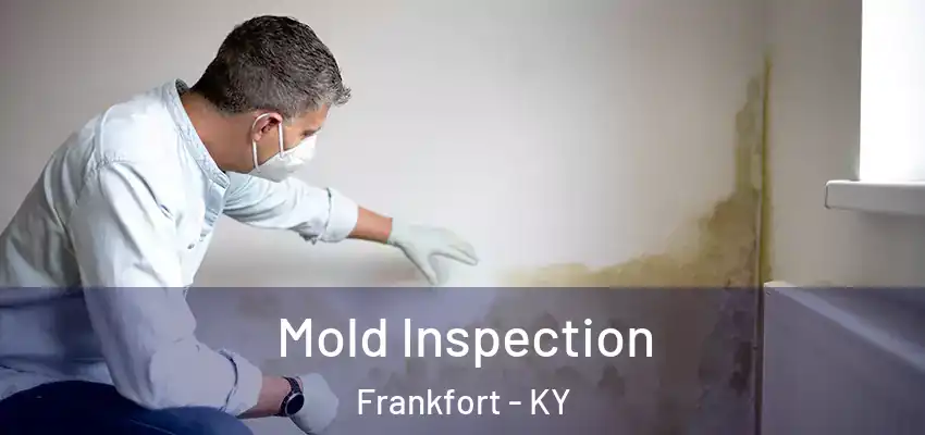  Mold Inspection Frankfort - KY