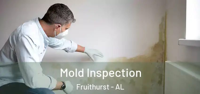 Mold Inspection Fruithurst - AL