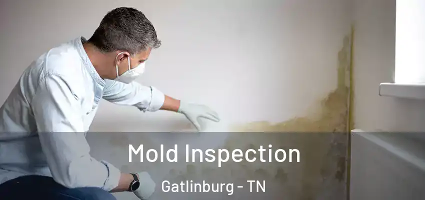 Mold Inspection Gatlinburg - TN