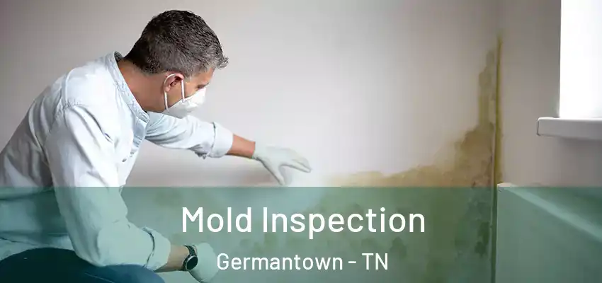 Mold Inspection Germantown - TN