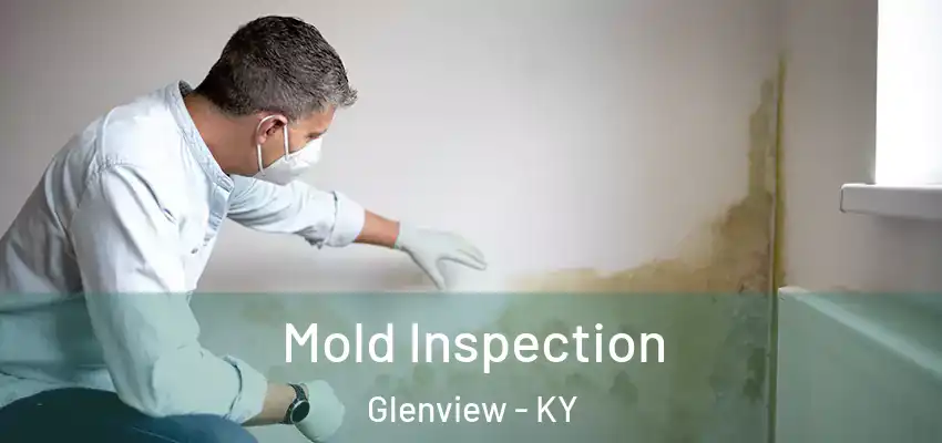  Mold Inspection Glenview - KY