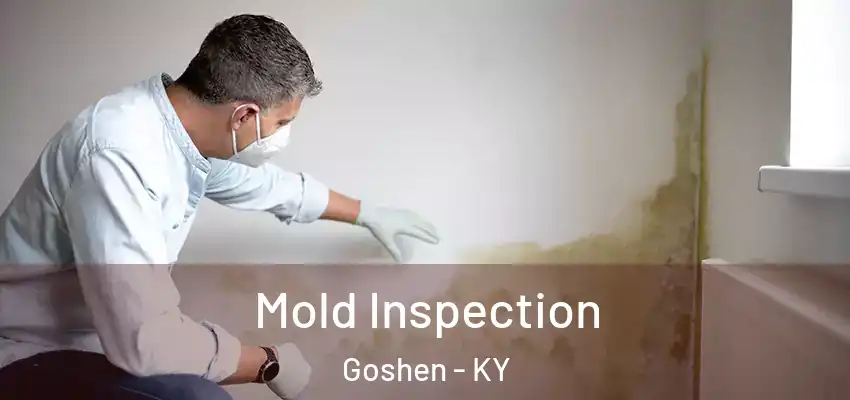  Mold Inspection Goshen - KY