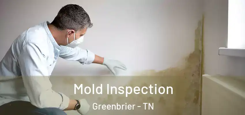 Mold Inspection Greenbrier - TN