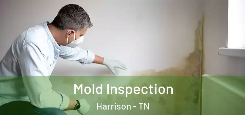Mold Inspection Harrison - TN
