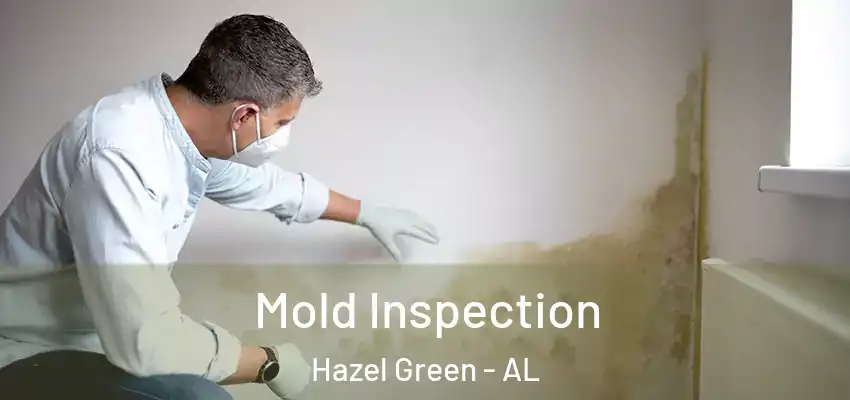  Mold Inspection Hazel Green - AL