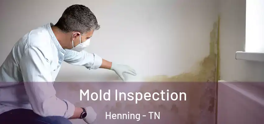 Mold Inspection Henning - TN