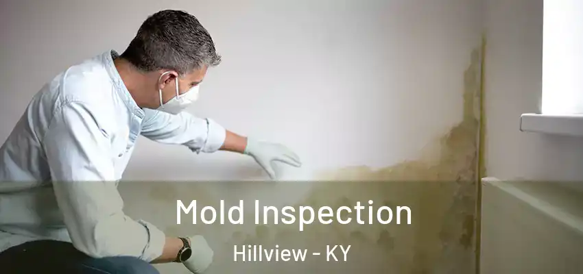 Mold Inspection Hillview - KY