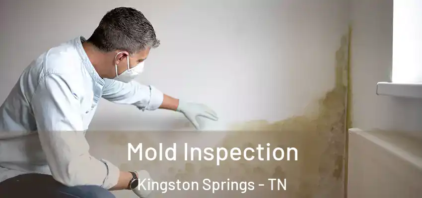  Mold Inspection Kingston Springs - TN