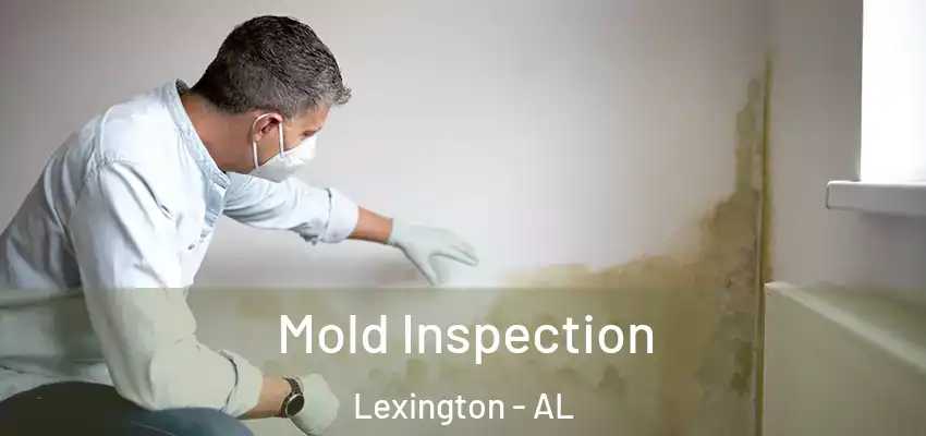 Mold Inspection Lexington - AL