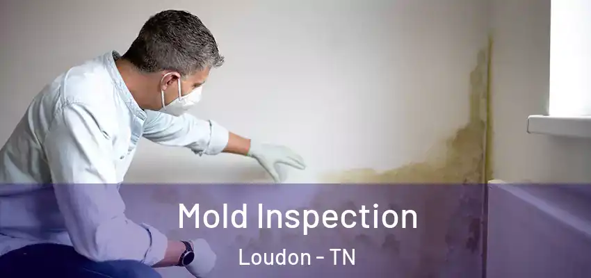 Mold Inspection Loudon - TN