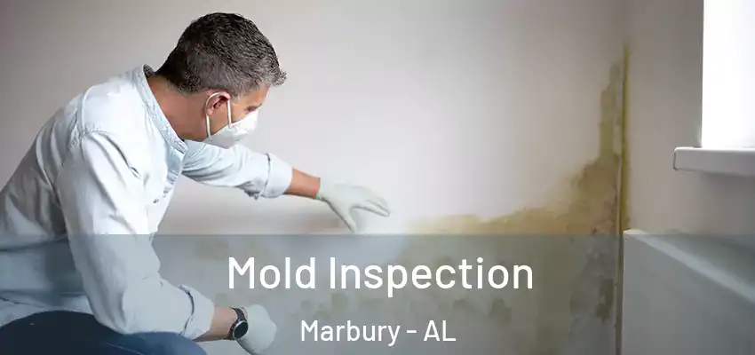 Mold Inspection Marbury - AL