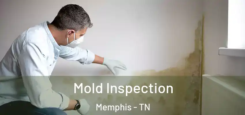  Mold Inspection Memphis - TN