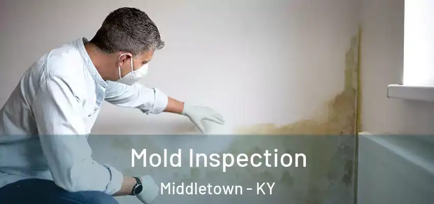 Mold Inspection Middletown - KY