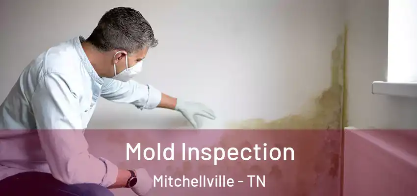  Mold Inspection Mitchellville - TN