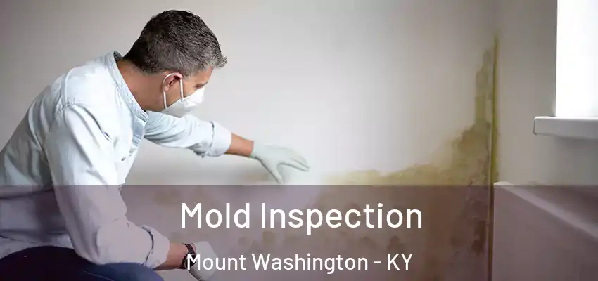 Mold Inspection Mount Washington - KY