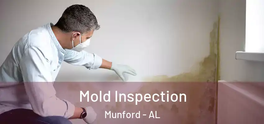  Mold Inspection Munford - AL