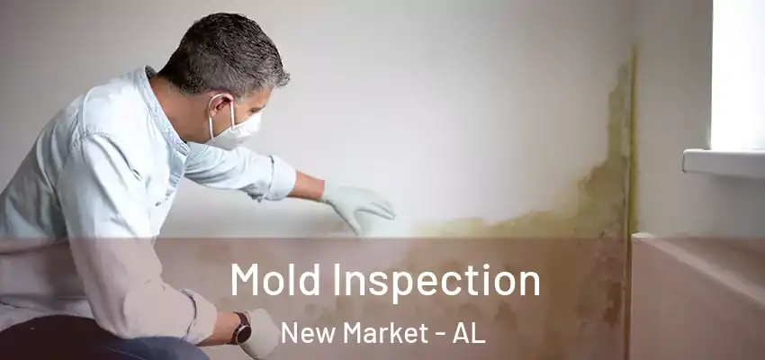 Mold Inspection New Market - AL