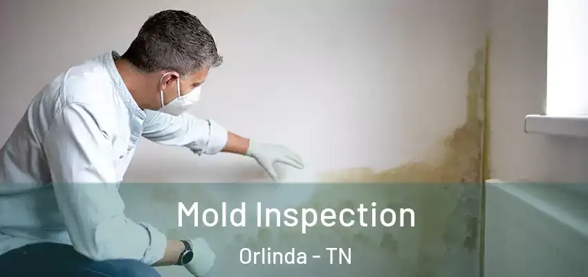 Mold Inspection Orlinda - TN
