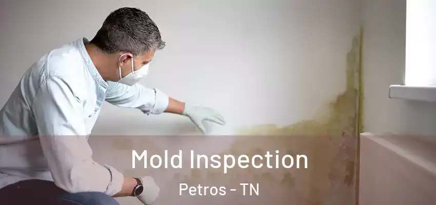  Mold Inspection Petros - TN