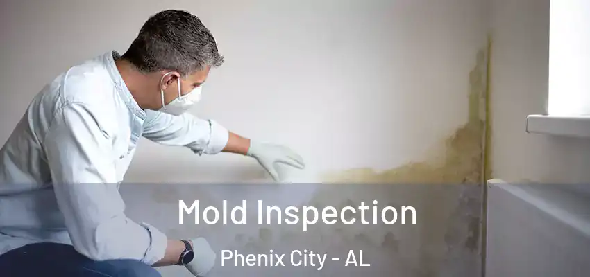  Mold Inspection Phenix City - AL