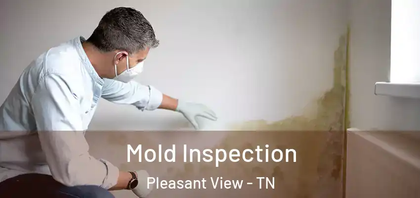  Mold Inspection Pleasant View - TN