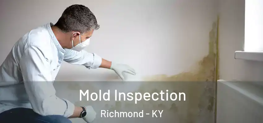  Mold Inspection Richmond - KY